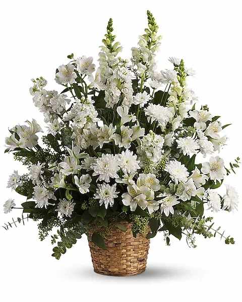 Heavenly Light - White alstroemeria, snapdragons and stock in a beautiful basket is a gift of caring that brings an air of serenity to the memorial service. Later, it will be a comfort for the family at home. This exquisite bouquet includes white alstroemeria, snapdragons, stock and cushion spray chrysanthemums and is accented with eucalyptus and lemon leaf. Delivered in a 6&quot; natural pot basket.