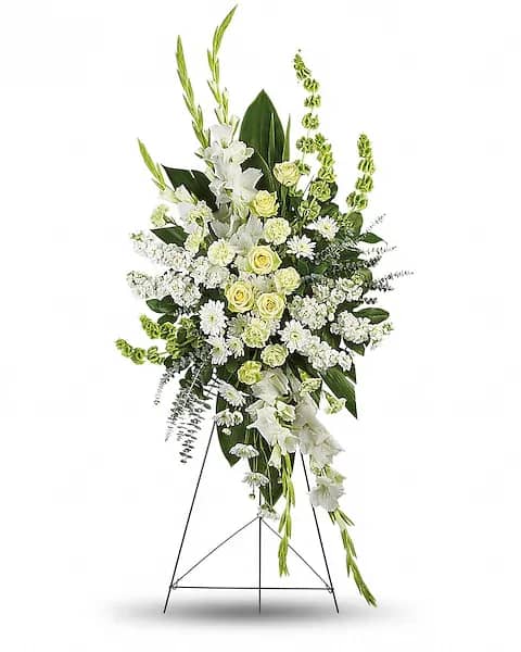 Magnificent Life Spray Magnificent Life Spray - A magnificent symbol of love and peace, this pure white and green spray conveys your sympathy with elegance and grace. This gorgeous array of green roses, green carnations, white gladioli, white stock, white cushion spray chrysanthemums and bells of Ireland is accented with green ti leaves, spiral eucalyptus and lemon leaf.