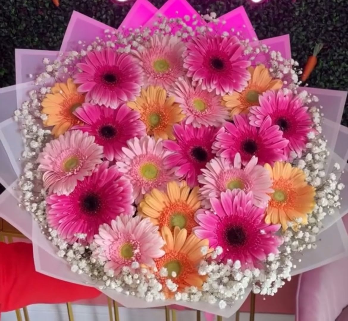 Gerberas Bouquet Gerberas Bouquet - Round Bouquet of Gerber's wrap.