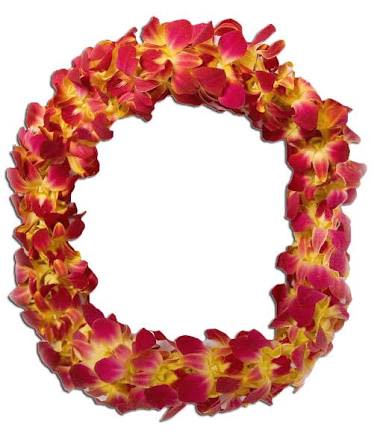 USC orchid Lei - This beautiful combination of red and yellow color, Orchid leí for graduation or any special location