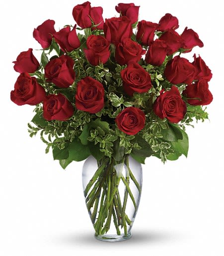 RV24R Twenty Four (24) Red Roses in a Glass Vase RV24R Twenty Four (24) Red Roses in a Glass Vase - Nothing says "I really love you" like red roses. This stunning arrangement of a dozen Premium Ecuadorian Roses, elegantly presented in a glass vase, is a classic yet breathtaking way to express your deepest emotions. The rich, velvety petals symbolize passion and romance, making this bouquet perfect for anniversaries, Valentine's Day, or any heartfelt occasion. We also offer roses in other colors at the same price, allowing you to personalize your arrangement. Express your love and emotions with the timeless beauty of red roses from KIKOS. This arrangement never disappoints and is sure to leave a lasting impression on the one you love.