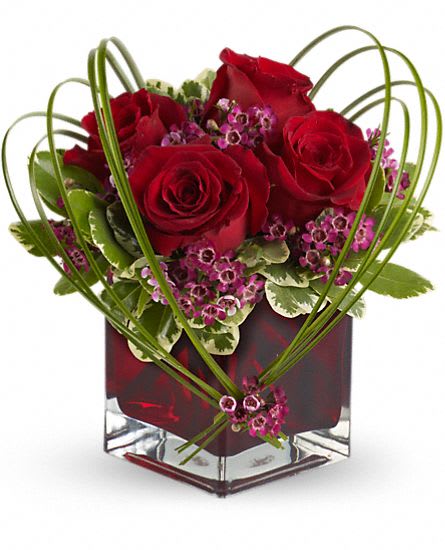  Sweet Thoughts Bouquet with Red Roses   TEV13-7A  - A graceful heart of bear grass, tied with waxflower blossoms, forms a heart that appears to float above the velvety red roses in this delightful bouquet, arranged in a cube vase. Send this beautiful floral arrangement to someone you love, and they'll think sweet thoughts about you! Red roses and waxflower accented with variegated pittosporum and bear grass arrive in a glass cube vase. This item is hand-arranged and delivered by our florist. Vase color may vary. All prices in U.S. Dollars. 