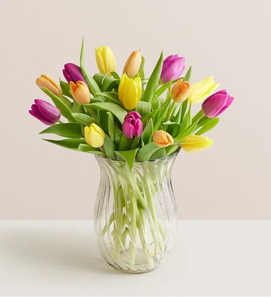 15 Stems Tulips 15 Stems Tulips - 15 assorted stems