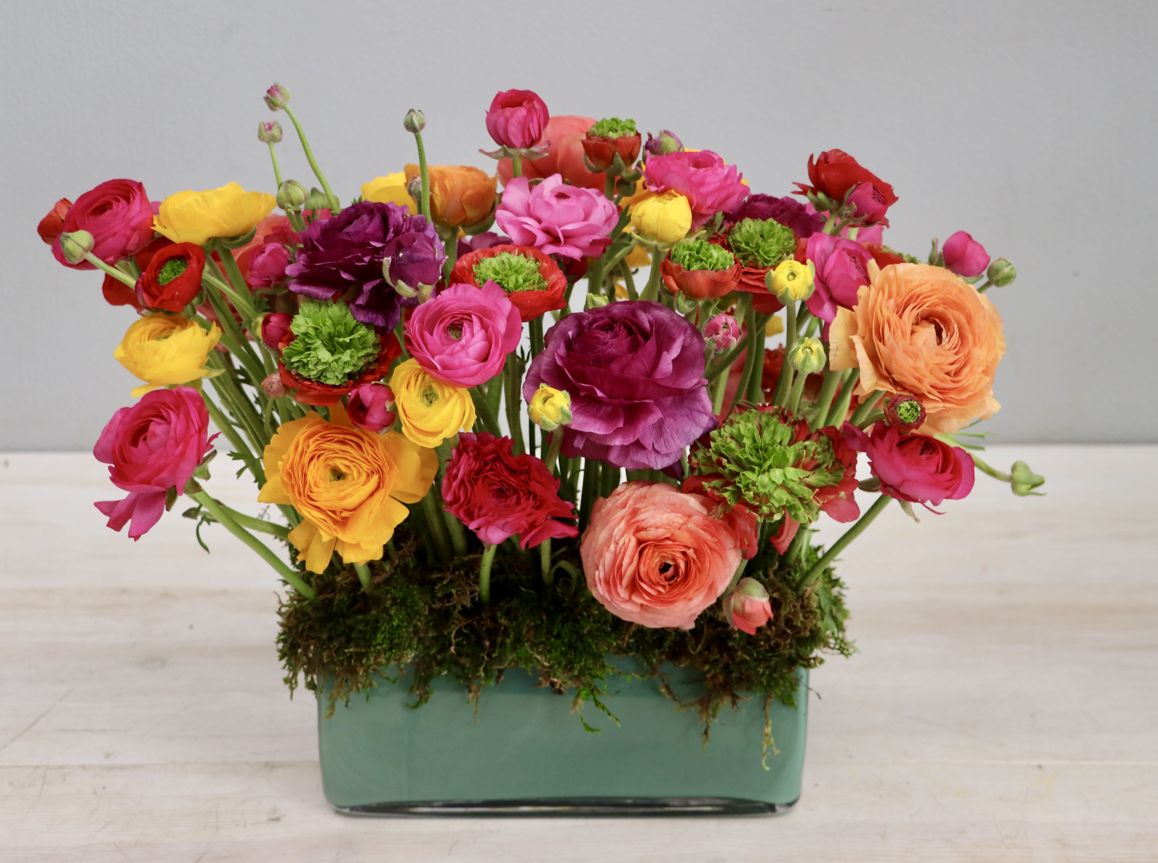Ranunculus Garden- Glendale Florist - Ranunculus, ranunculus, ranunculus..need to say more? Just in time for your Easter dinner table. Photo seen here is DELUXE Version. 
