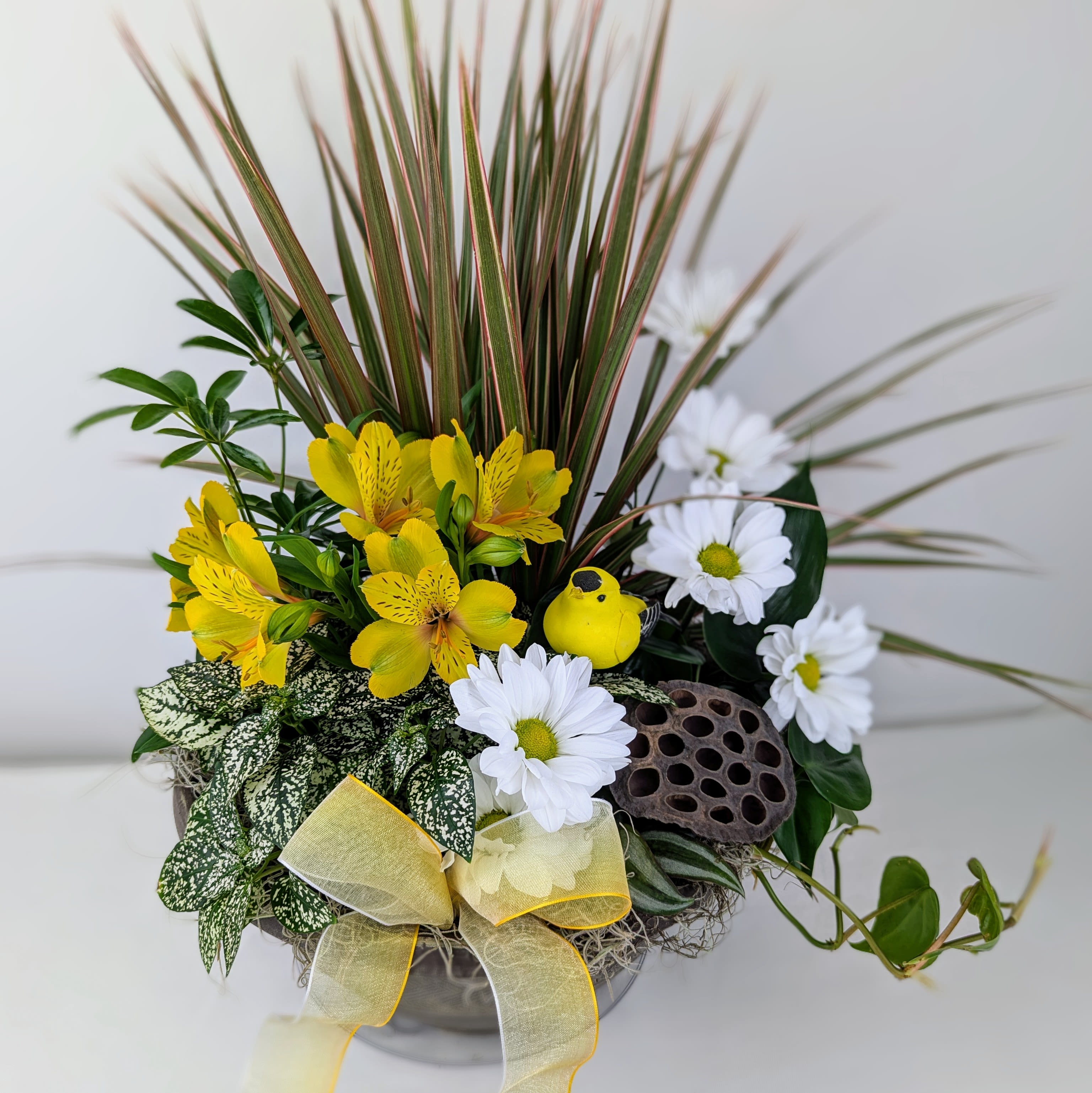 Nature's Touch Dishgarden - A collection of easy-care indoor plants all potted together. Adorned with a touch of nature that include a bird and fresh flowers!
