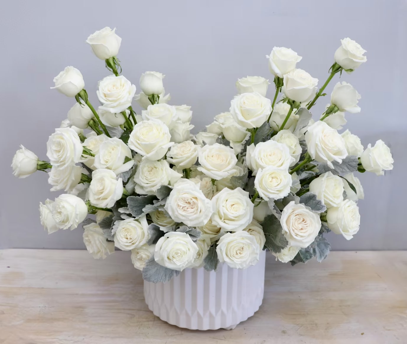 White Rose - LA - This stunning arrangement is made with our finest white roses and complimented with dusty miller in a large ceramic vase.  The vase is about 12&quot; across and with flowers, about 20.&quot;