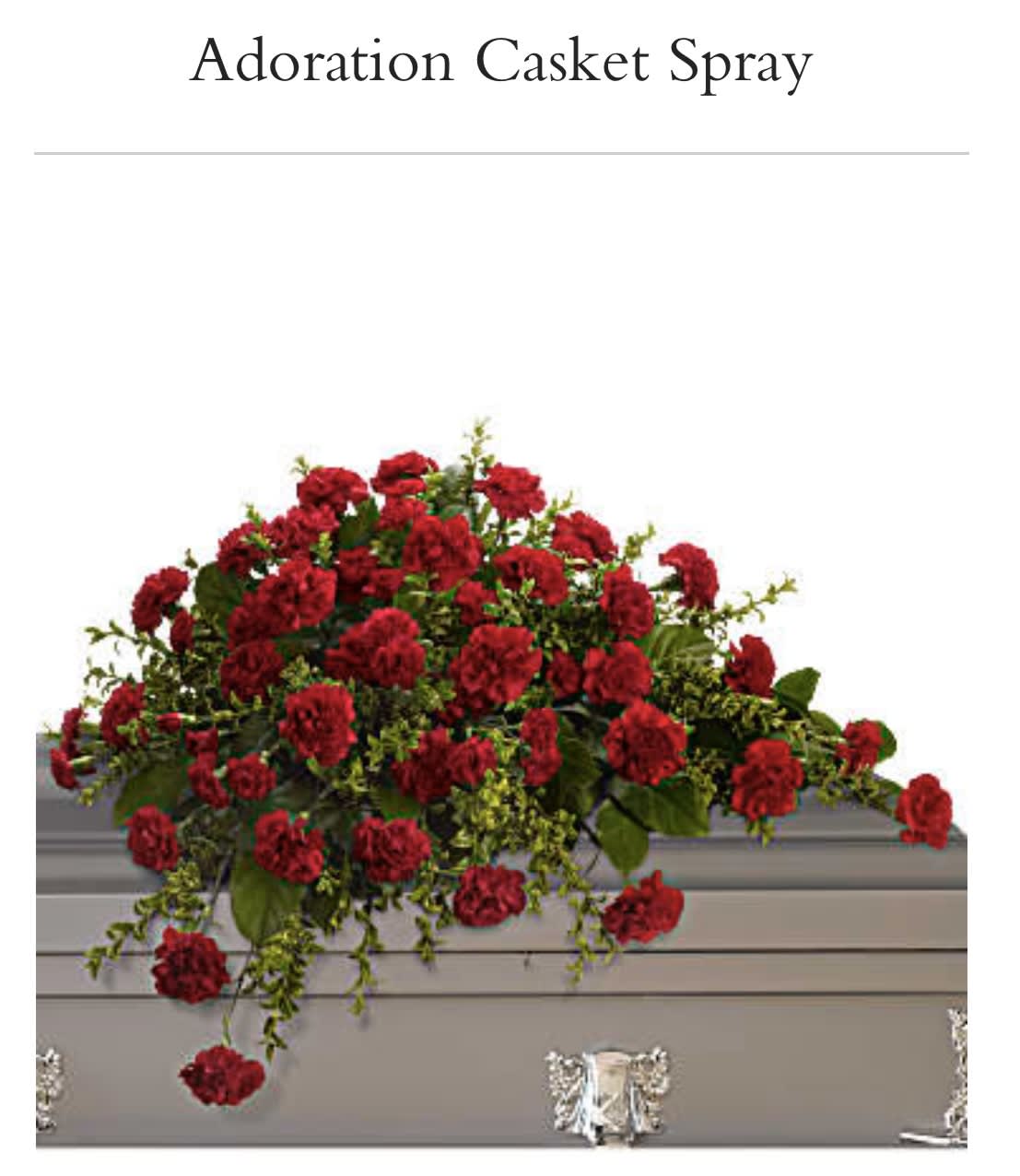 Adoration Casket Spray Adoration Casket Spray - With dignity and grace, brilliant red carnation express the depth of your heartfelt feelings, and the tenderness of your everlasting devotion.