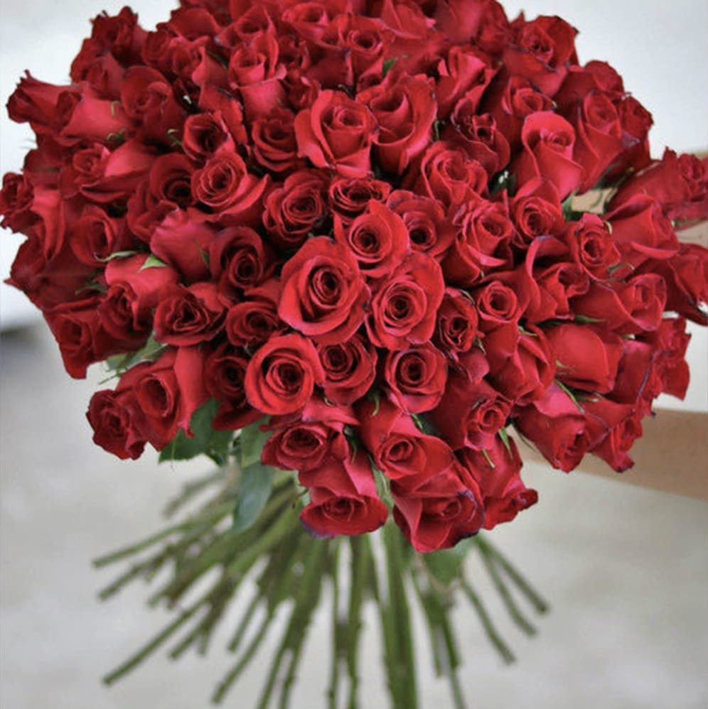 Ramo Buchon! 100 Roses ! RED Hand-tied - Say it with roses, 100 times! We can customize the color of the roses, (just let us know in the Special Instructions). These are all long-stem Ecuadorian roses from the Andes' mountains hence our name ;)   The roses are presented hand-tied in decorative wrap paper (not pictured). If there's a particular color you're looking for, let us know in the special instructions. *Subject to availability 