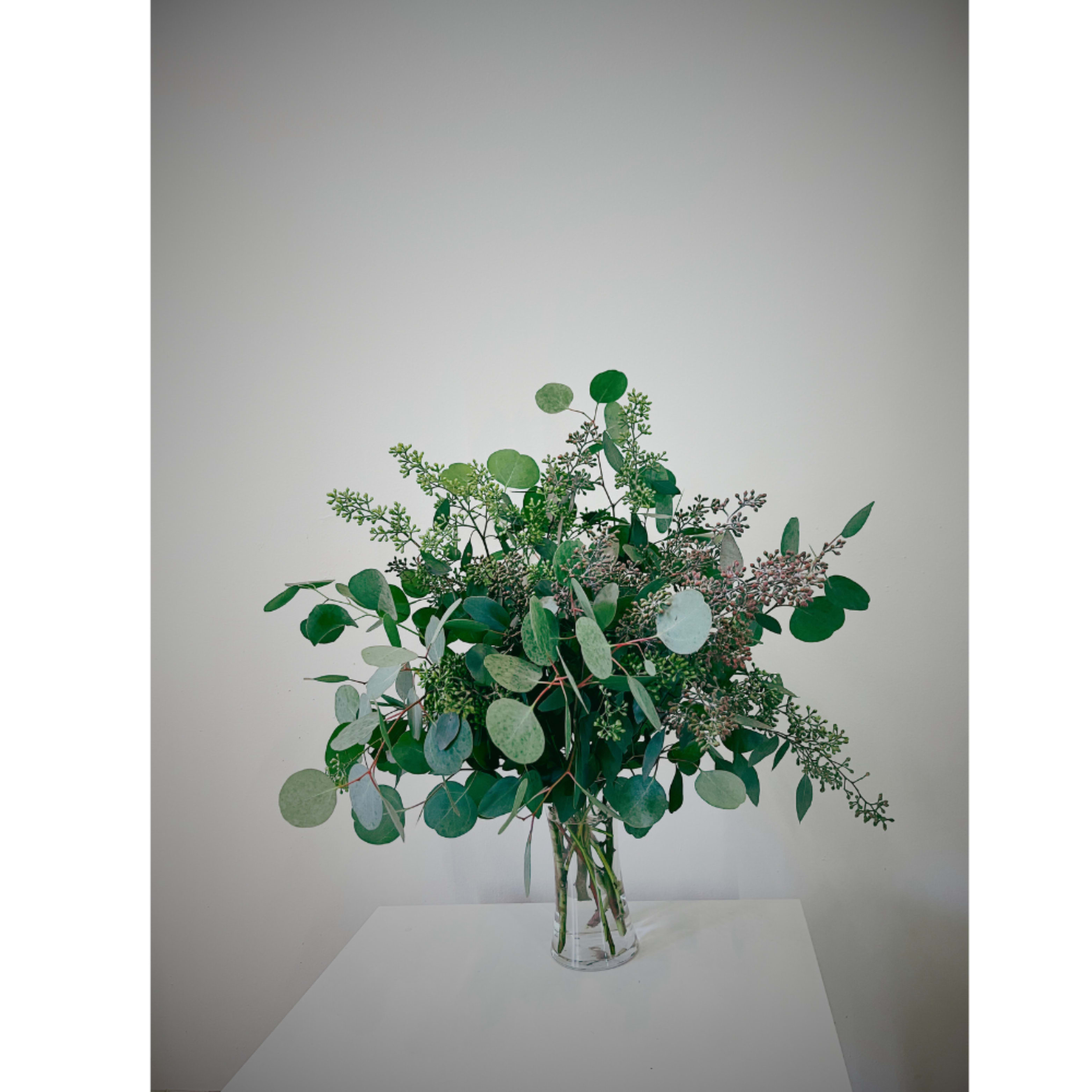 Simply Eucalyptus with Vase - Fresh, natural eucalyptus arranged in a sleek vase for a minimalist and refreshing touch. Its subtle fragrance and elegant greenery bring calm and simplicity to any space. Perfect for home or office