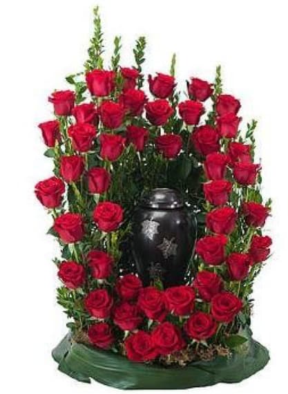 Royal Rose Surround - Royal Rose Surround