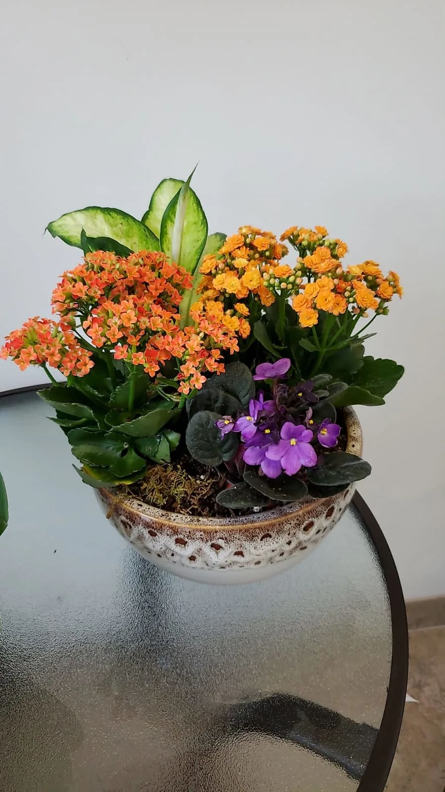 Dishgardens with flowers - Beautiful dishgarden with flowers   Flowers and similar colors