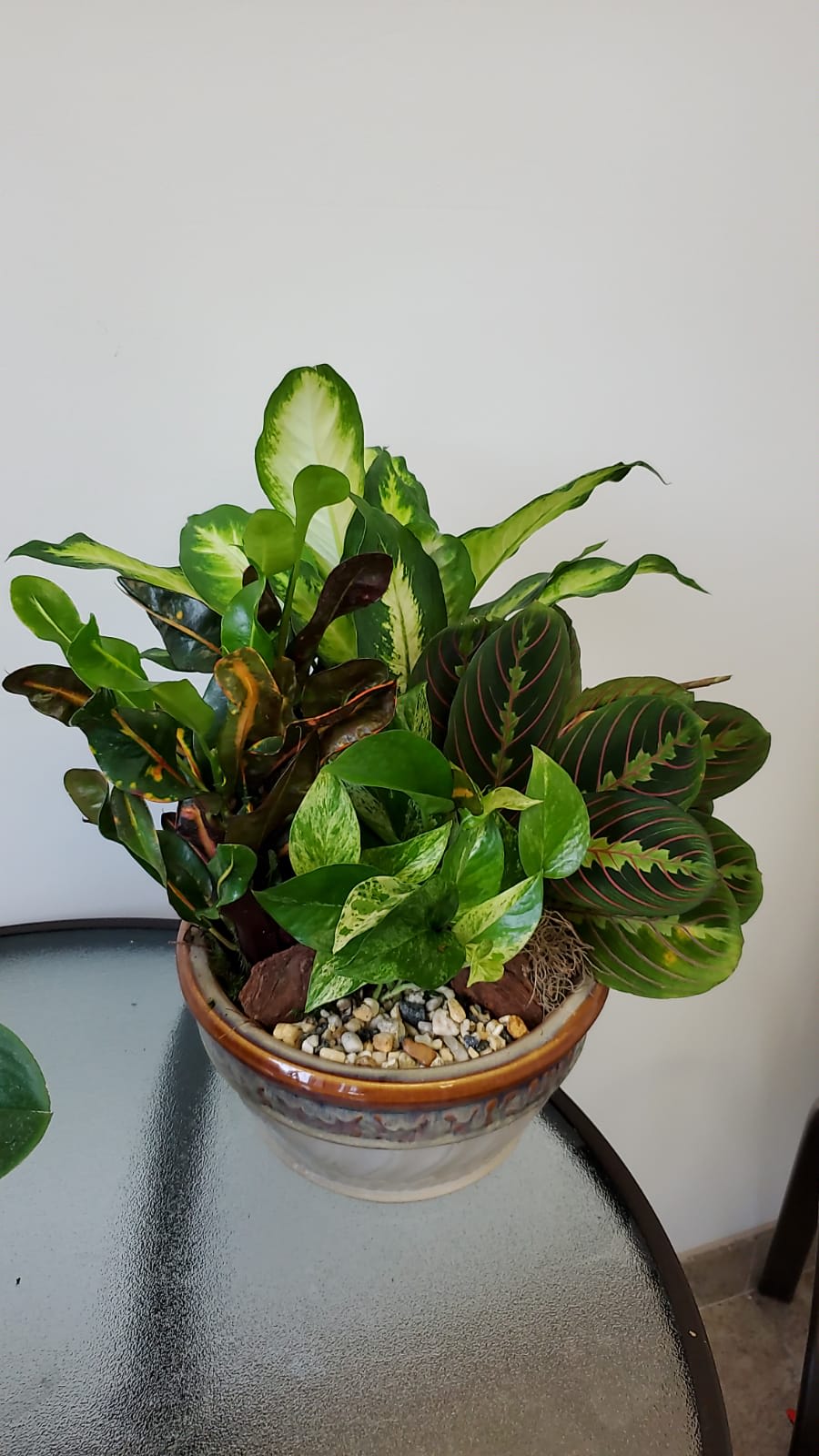 Gardens  - Plant