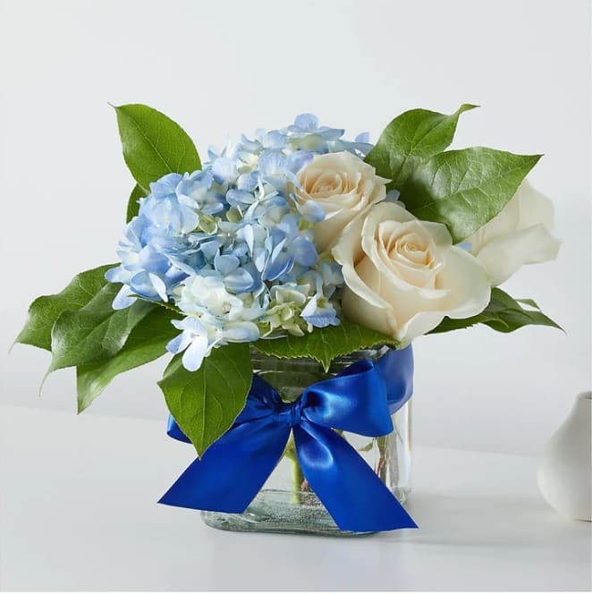 Sky Blue Delight Bouquet Sky Blue Delight Bouquet - These ivory roses and sky–blue blooms will brighten anyone's day. Please Note: The bouquet pictured reflects our original design for this product. While we always try to follow the color palette, we may replace stems to deliver the freshest bouquet possible, and we may sometimes need to use a different vase. DETAILS The Standard Bouquet is approximately 9"H x 9"W. Designed by florists, ready to display. For long–lasting blooms, replace the water daily. We suggest trimming the stems every couple days. Pet Safety Precautions: This bouquet or plant may include flowers and foliage that are known to be toxic to pets. To keep them safe, be sure to keep this arrangement out of your pet's reach.