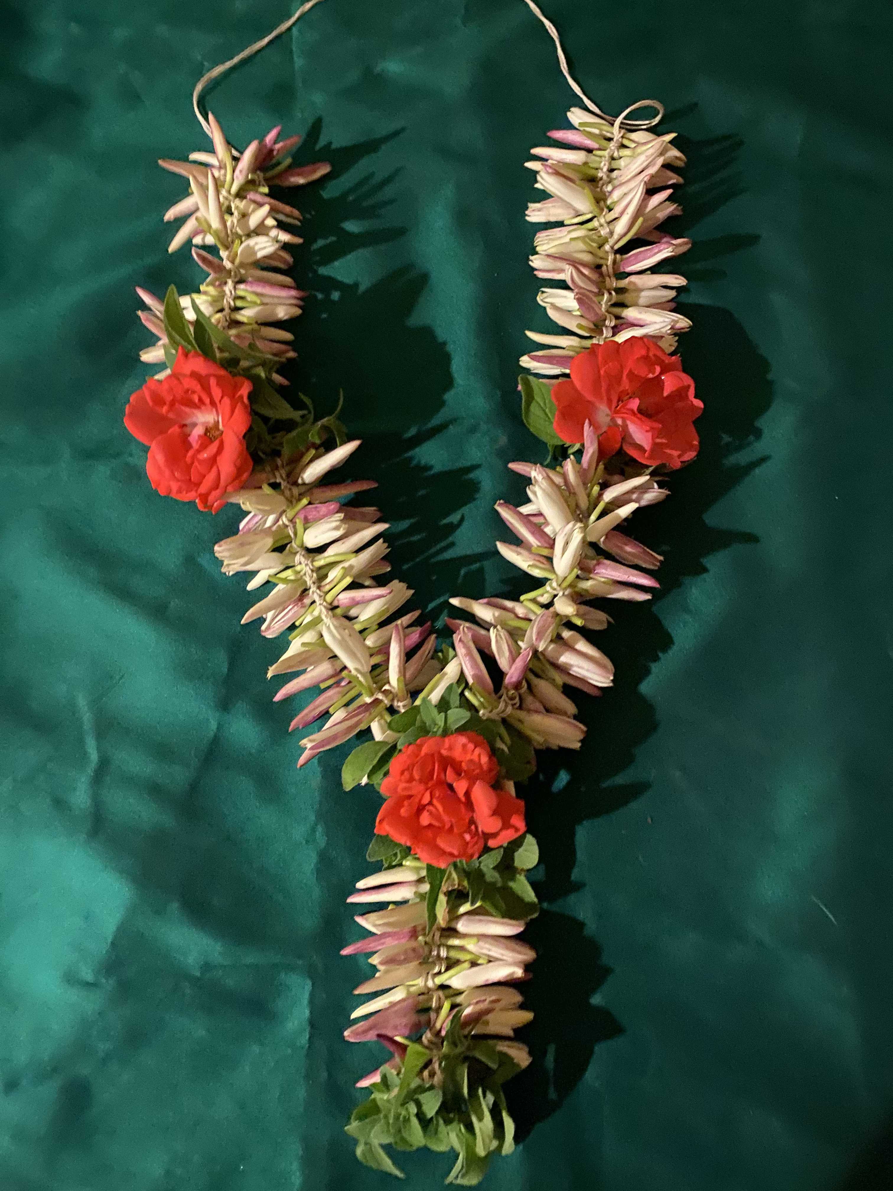 Star Jasmine Lei Star Jasmine Lei - 2 ft Star Jasmine Lei with Oregano and Orange rose in between.
