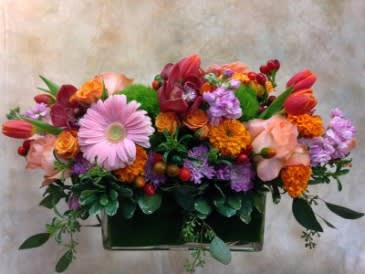 Riotous Colours Riotous Colours - Riotous Colours