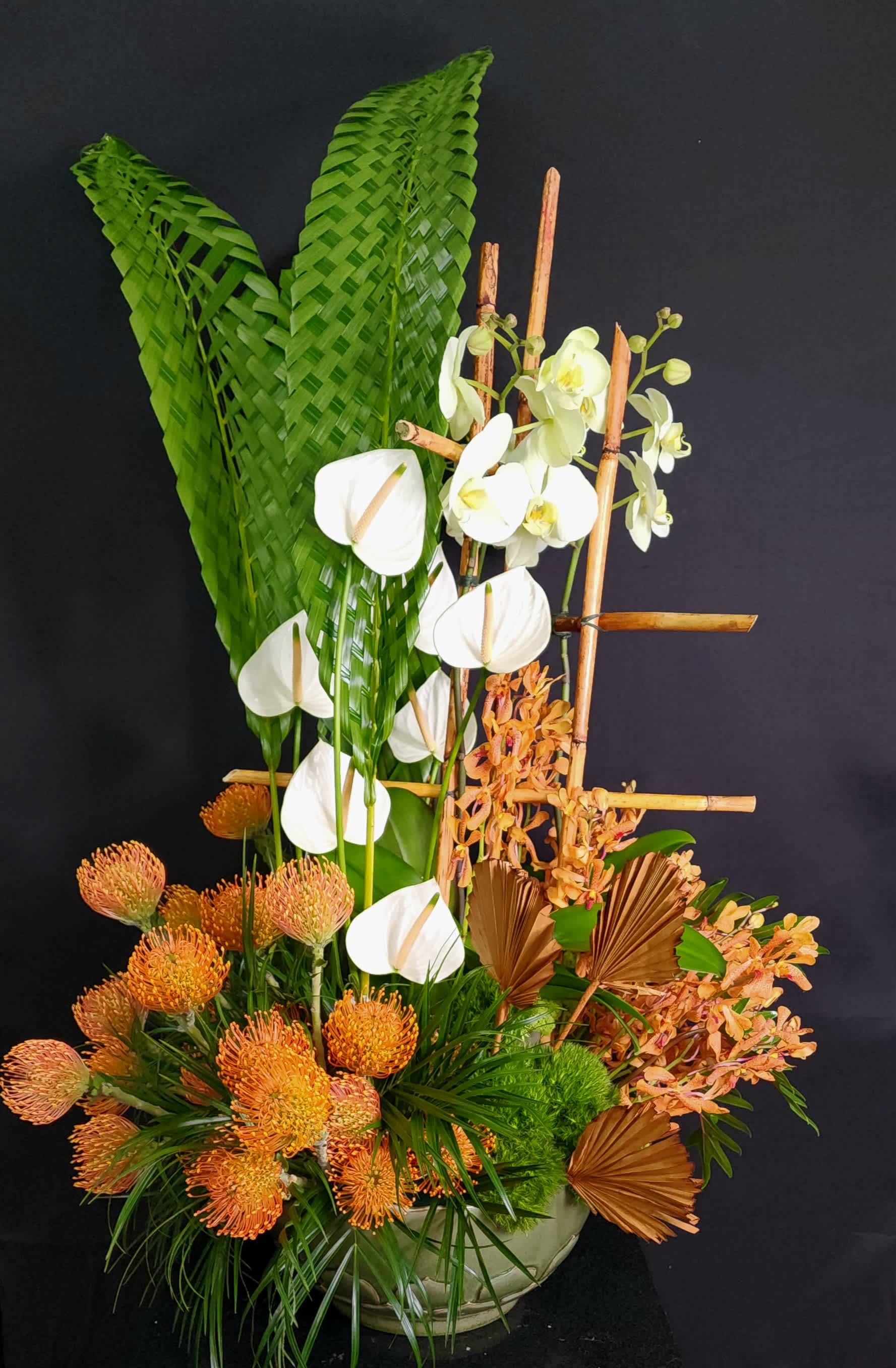 Exotic Expressions - Wether it's a birthday celebration or a recognition of congratulations, this tropical arangement makes a great gift.  Phalaenopsis, antherium, macara and pin cushions complemented by green trick, bamboo and greenery.