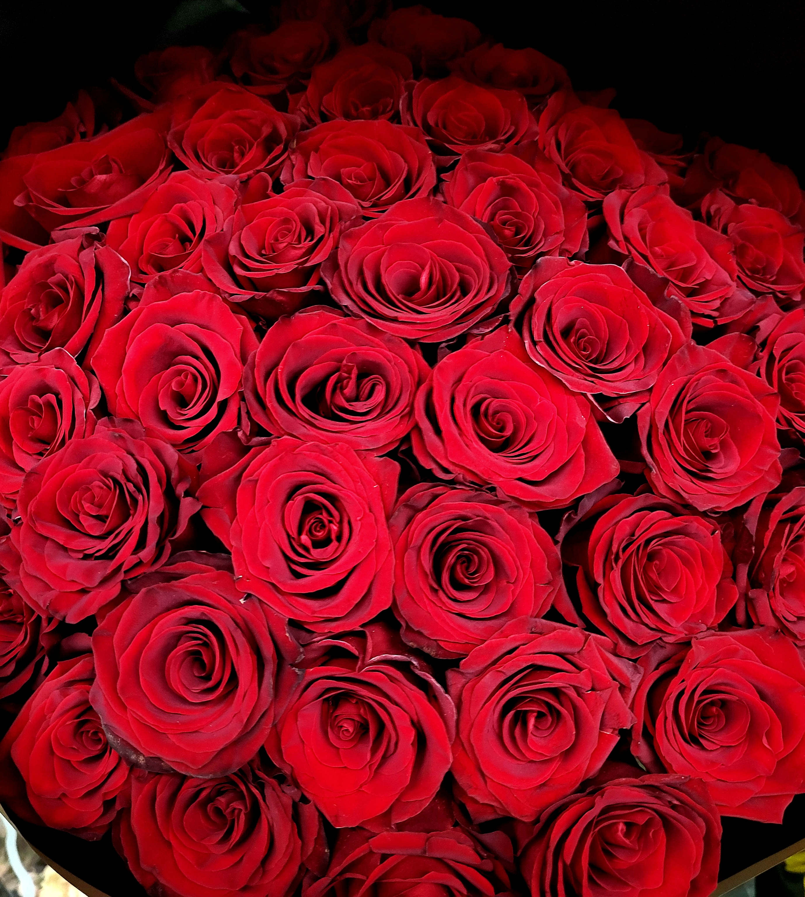 Red Buchon Red Buchon - it is made with: 48 red roses wrapped with black paper