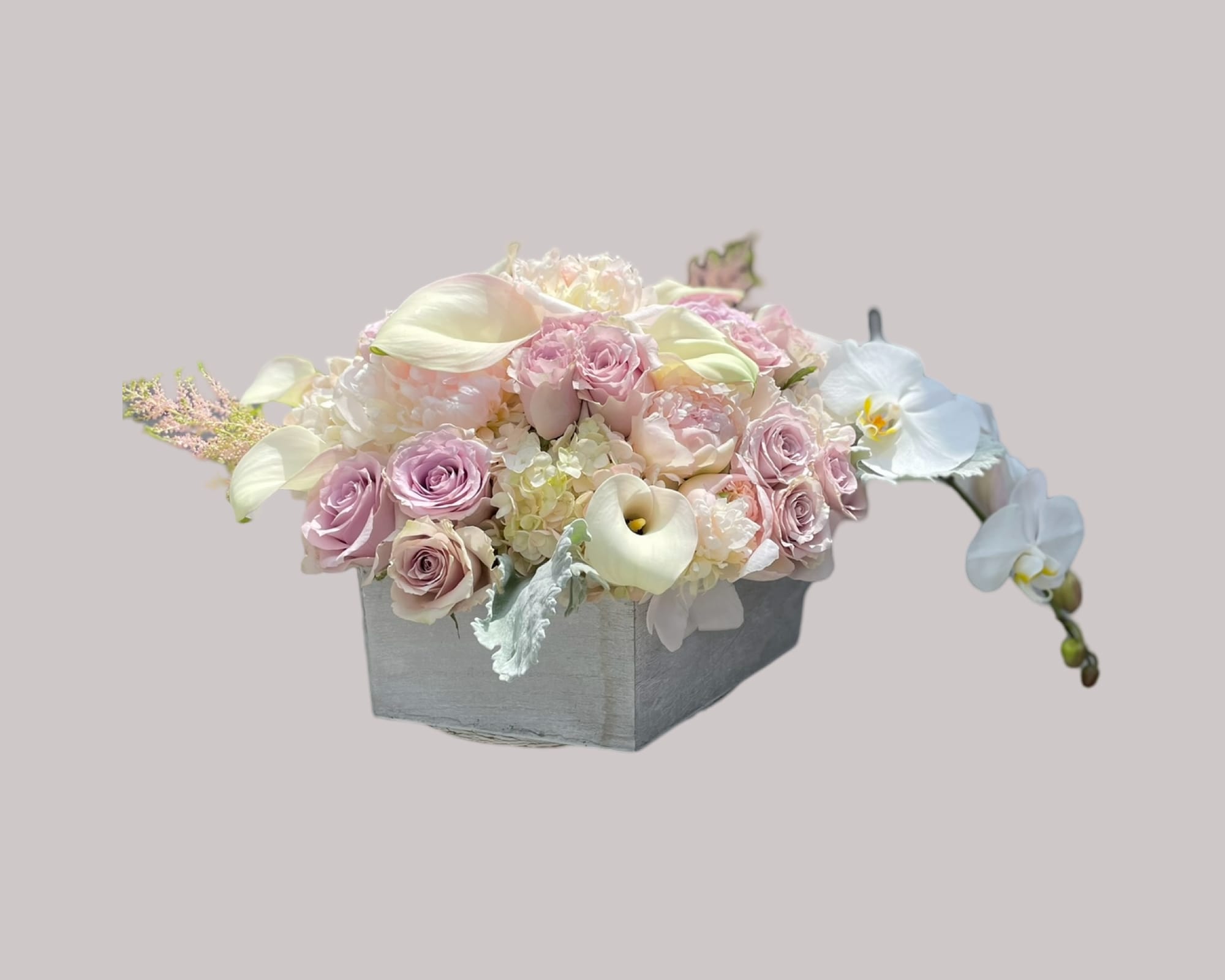 Beautiful orchid - Orchid, roses,cala Liliies,hydrenga,dusty miller