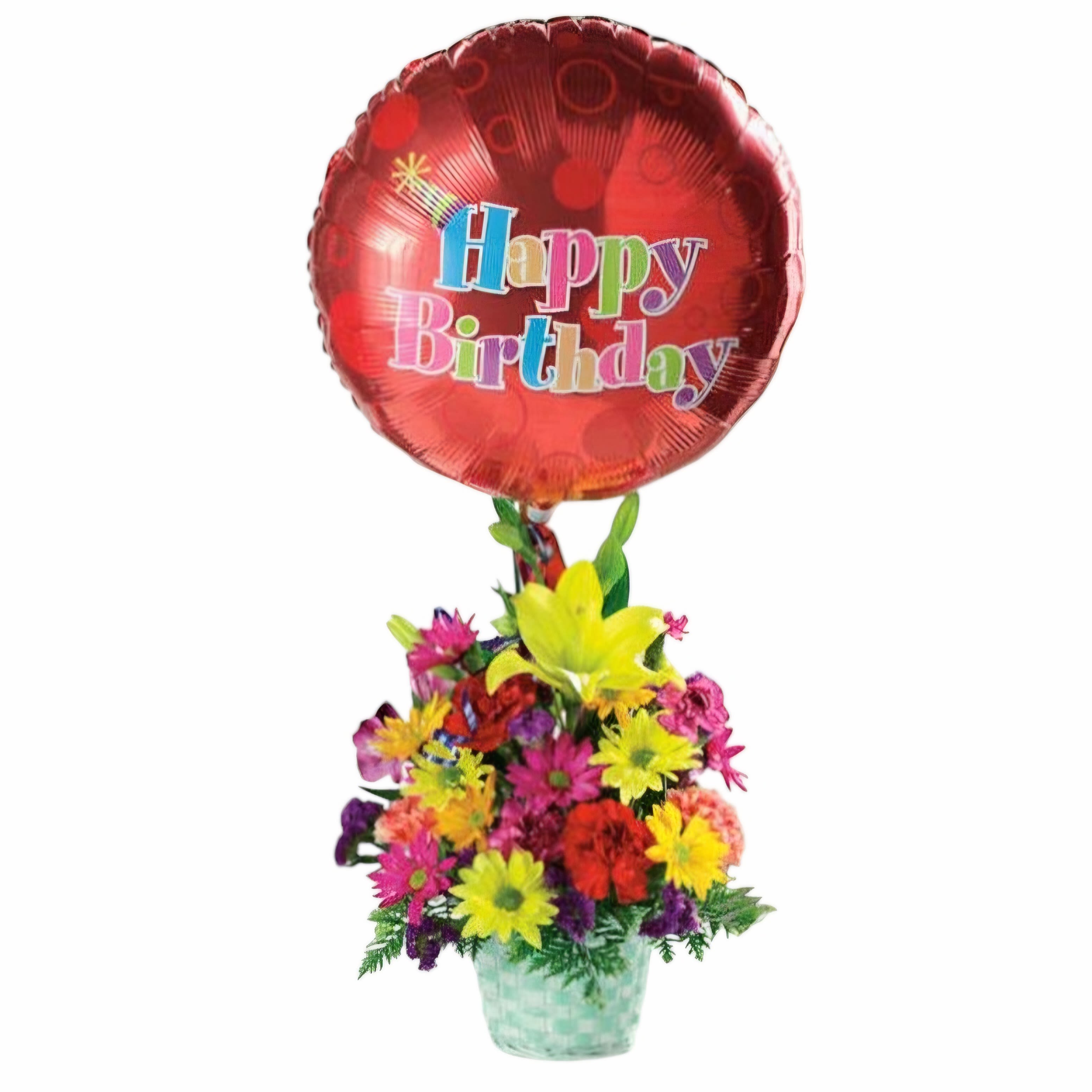 Happy Birthday Basket - A half round basket brimming with our freshest daisy pompons, an Asiatic lily and carnations, topped with a birthday balloon. The best gift for every age!