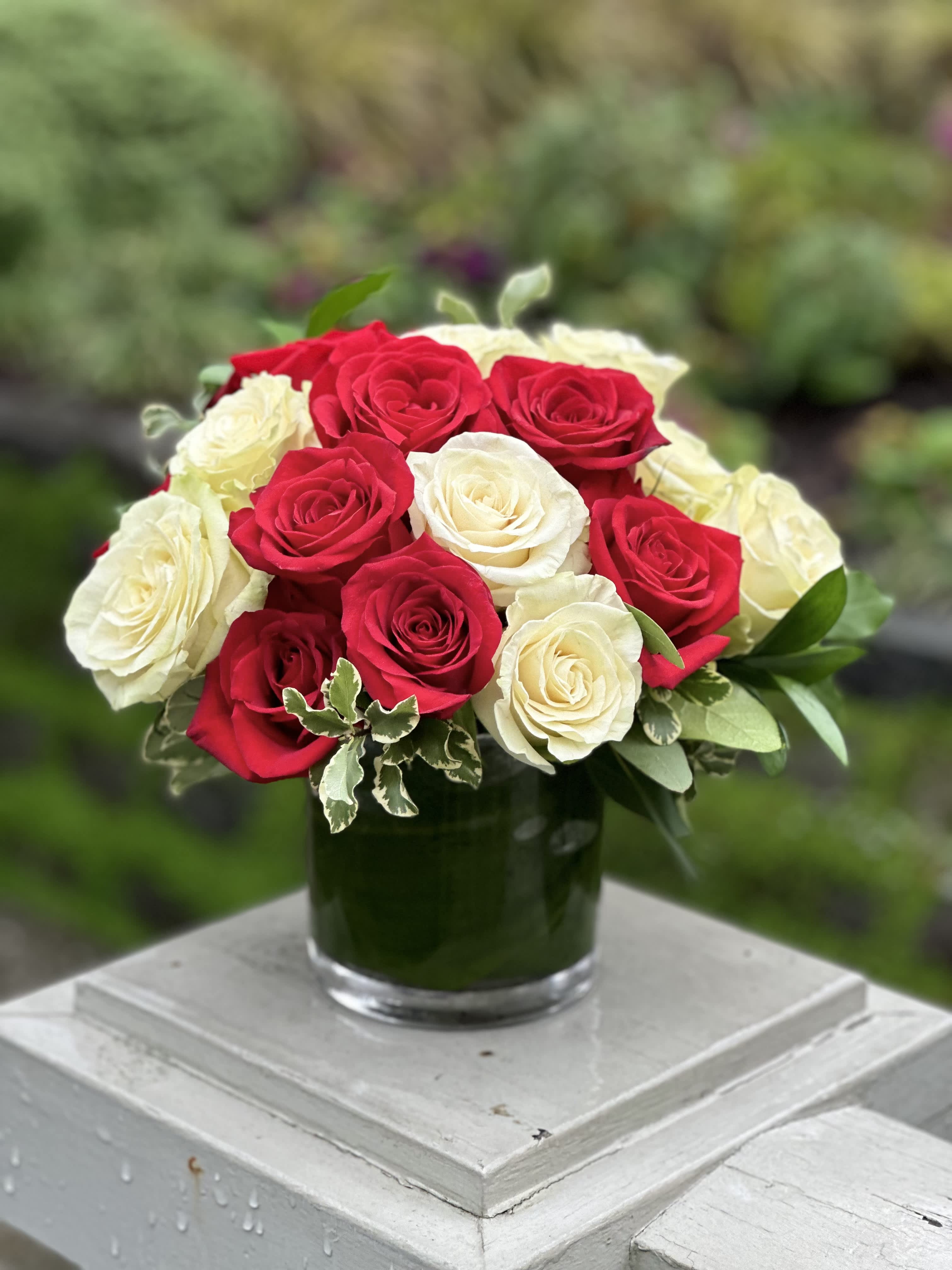 Red and White Roses - Low and compact cylinder vase featuring red and white roses. Choose from 12, 18 or 24. Perfect for the table.  
