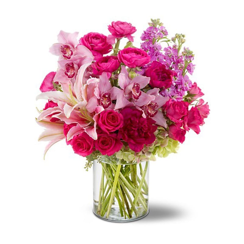 So Stylish [TFWEB150] - Dazzle someone stylish with this spectacular arrangement of fresh flowers including pink roses, lilies and peonies, purple orchids, green hydrangea and more, arranged in a cylindrical glass vase. It's a charming bouquet that's just right for any fashionable friend.  Hot pink roses, spray roses, ranunculus and peonies, purple cymbidium orchids, pink Oriental lilies, lavender stock and green hydrangea – accented with seeded eucalyptus and black pittosporum – are delivered in a clear glass cylinder vase.  Approximately 16&quot; (W) x 16&quot; (H)  Orientation: All-Around      As Shown : TFWEB150 