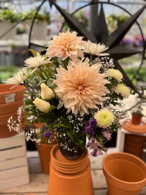 Pocketful of Sunshine - Cafe au latte Dahlia in vase