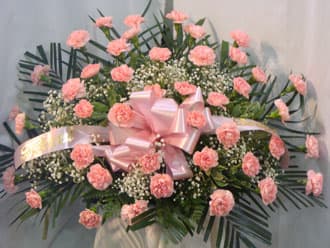  Casket Spray - THIS IS A HALF COUCH OF PINK CARNATIONS AND BABIES BREATH THIS AFFORDABLE ARRANGEMENT SITS ON THE FOOT OF THE CASKET AND IS AVAILABLE IN ALL COLORS DEPENDING ON THE DECEASED BEING A MAN OR A LADY