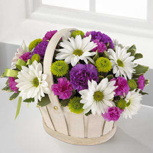 The FTD® Blooming Bounty Bouquet - This pretty basket is sure to cheer up anyone's day. This white-wash handled basket is filled with green button pompons, white daisy pompons, hot pink mini carnations and purple carnations. A lavender ribbon bow completes your best wishes. (z)