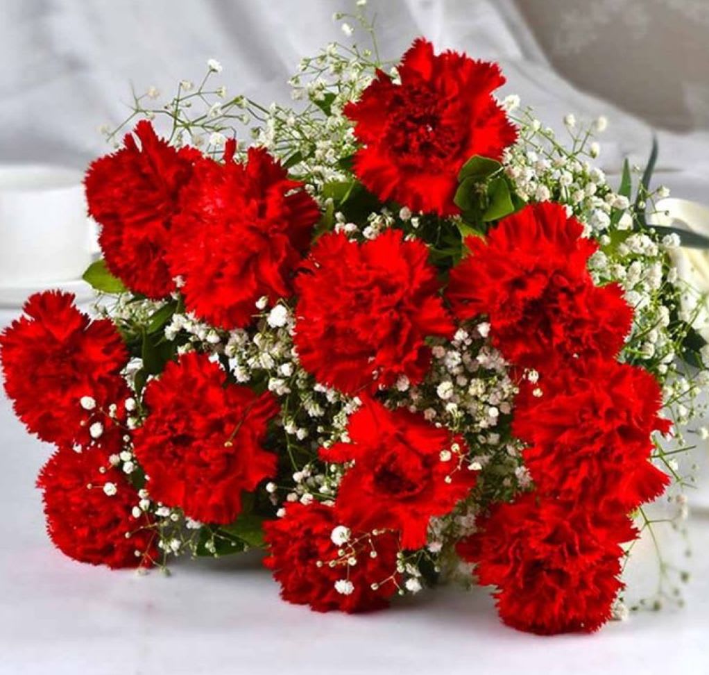 LOVE CARNATIONS  - 12 red carnations in paper