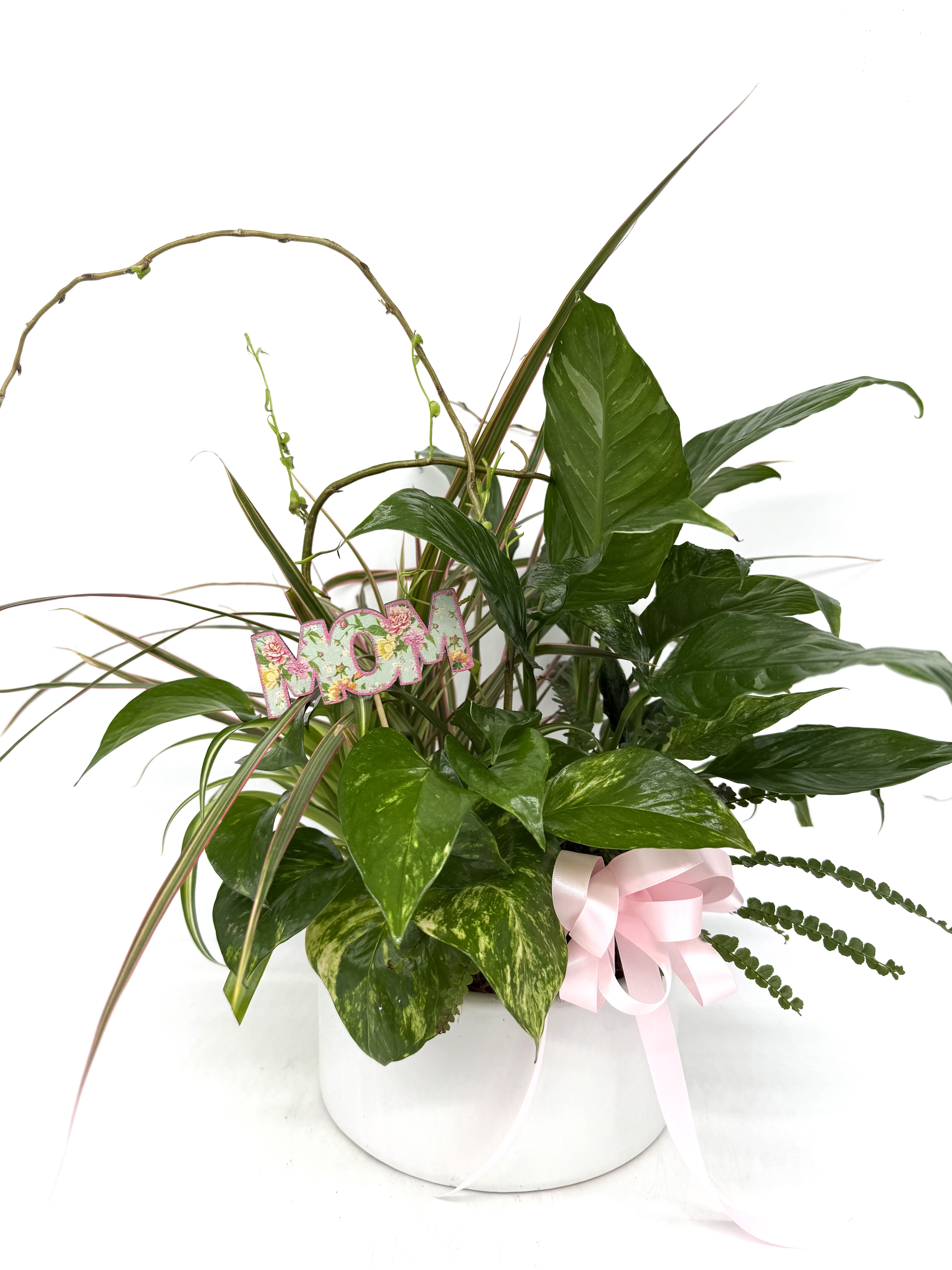 Mother's Day Dish Garden Mother's Day Dish Garden - Five of our most popular and most loved plants. This is a gift that will bring many days of love and joy! This is a mix of assorted plants that are in season, accented with green moss and river rocks, delivered in a white round ceramic container. Approximately 10 1/2" round and 13" high Orientation" All- Around as shown