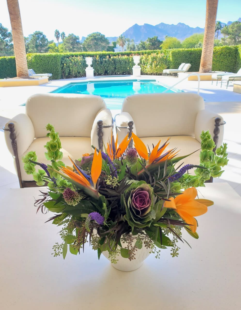 Bird of Prey Bird of Prey - A distinctive design of tropical Birds of Paradise, Bells of Ireland, ornamental kale, and a mix of lush greens that make you want to sip a cool drink by the pool... while enjoying the tropics!