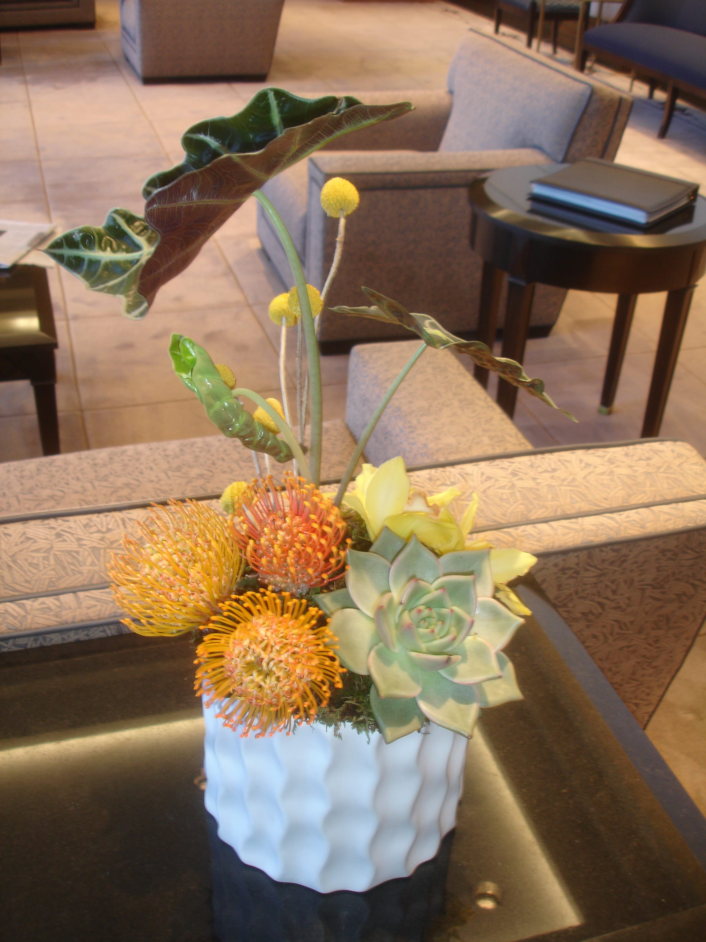Protea Wave - Protea, cymbidium orchids, billy balls, &amp; succulent in a white wave container.
