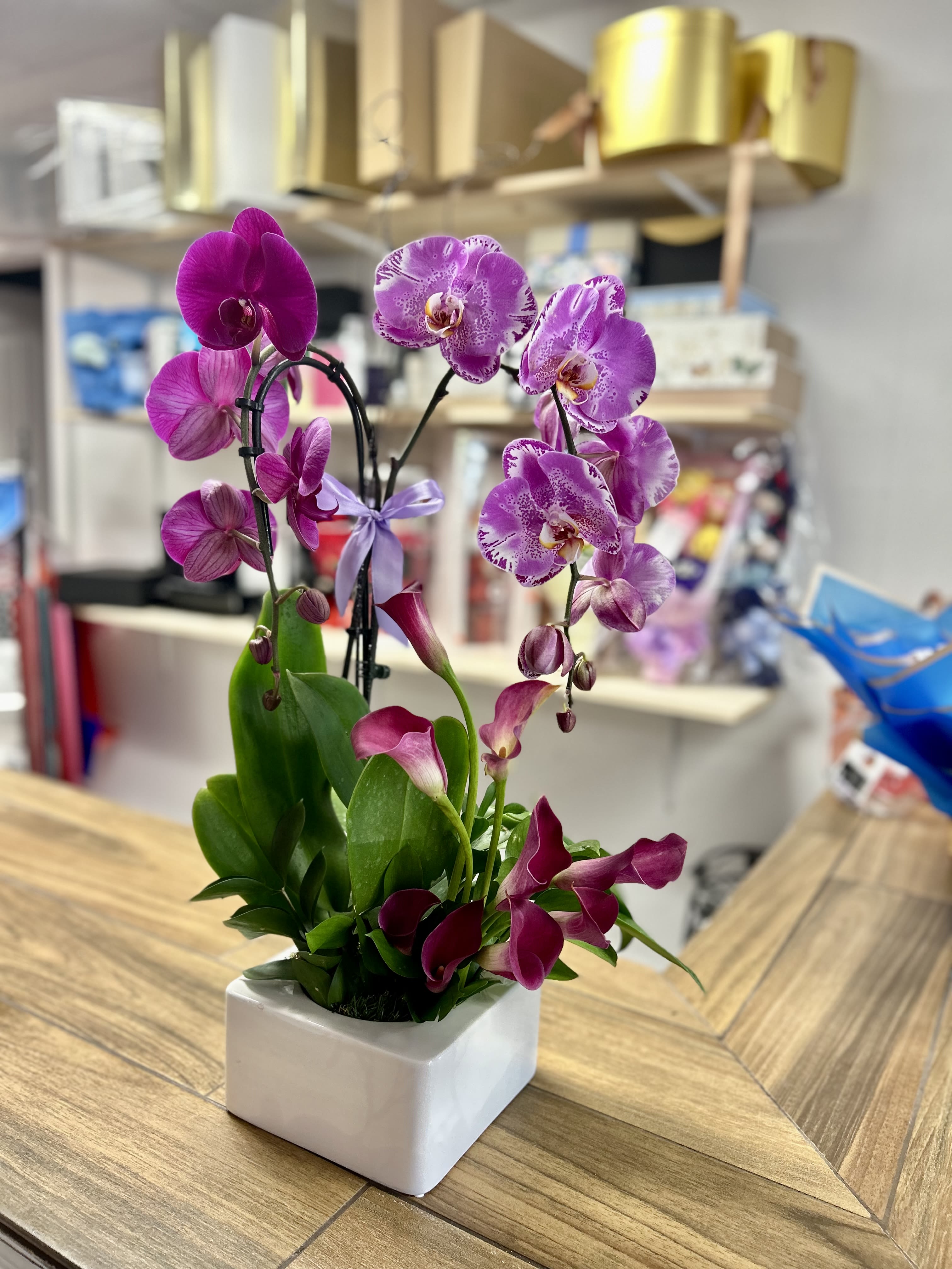 Orchids  - Two orchids decorated on base, in seasonal colors