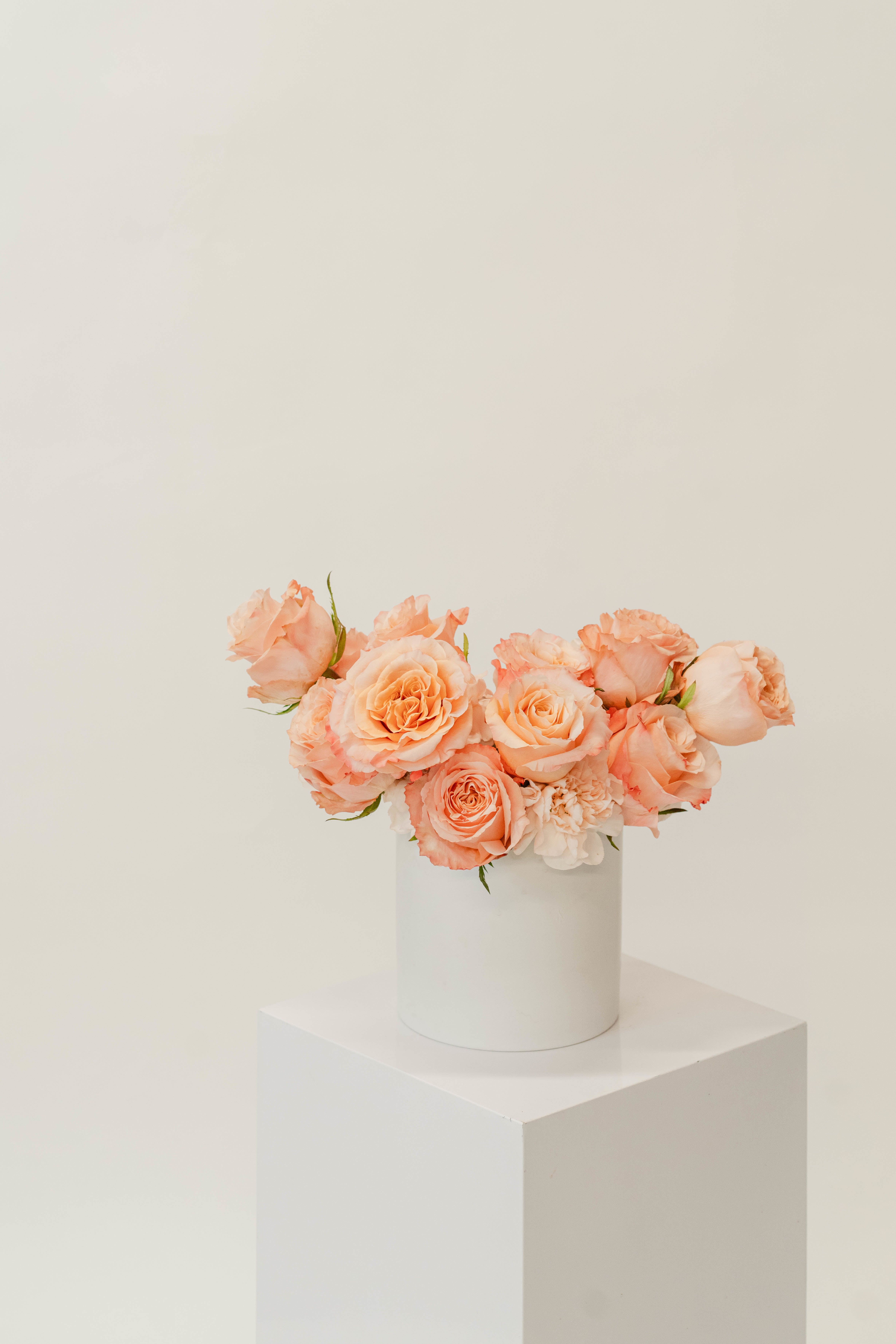 One Dozen Roses - One dozen roses, in your choice of color, designed with a modern European Pave approach, in a ceramic vase with high-end blooms and greenery to accent the premium roses. Placed in a gift box, lined with premium paper, and our signature finishing touch deluxe ribbon to match.   