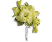 Grand Gladiolus Boutonniere - Stand out from the crowd in soft stylish green. Green gladioli and variegated pittosporum in an ivory satin ribbon.Approximately 5 1/2&quot; W x 8&quot; H Orientation: N/A As Shown : T202-5A