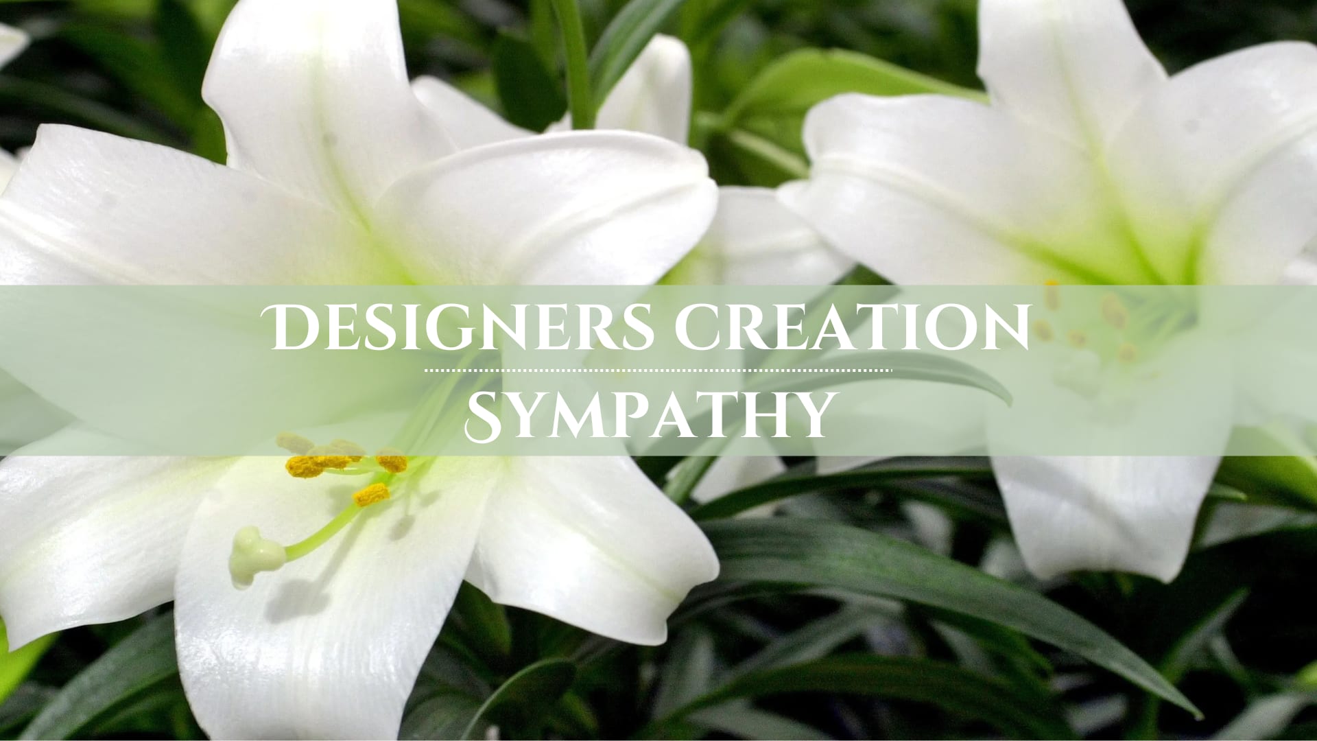 Designers Creation - Sympathy Designers Creation - Sympathy - Let our professional floral designers create a custom design just for you with the freshest, longest lasting flowers we currently have in stock. This way a unique arrangement is delivered every time. Designs and Flowers will vary.