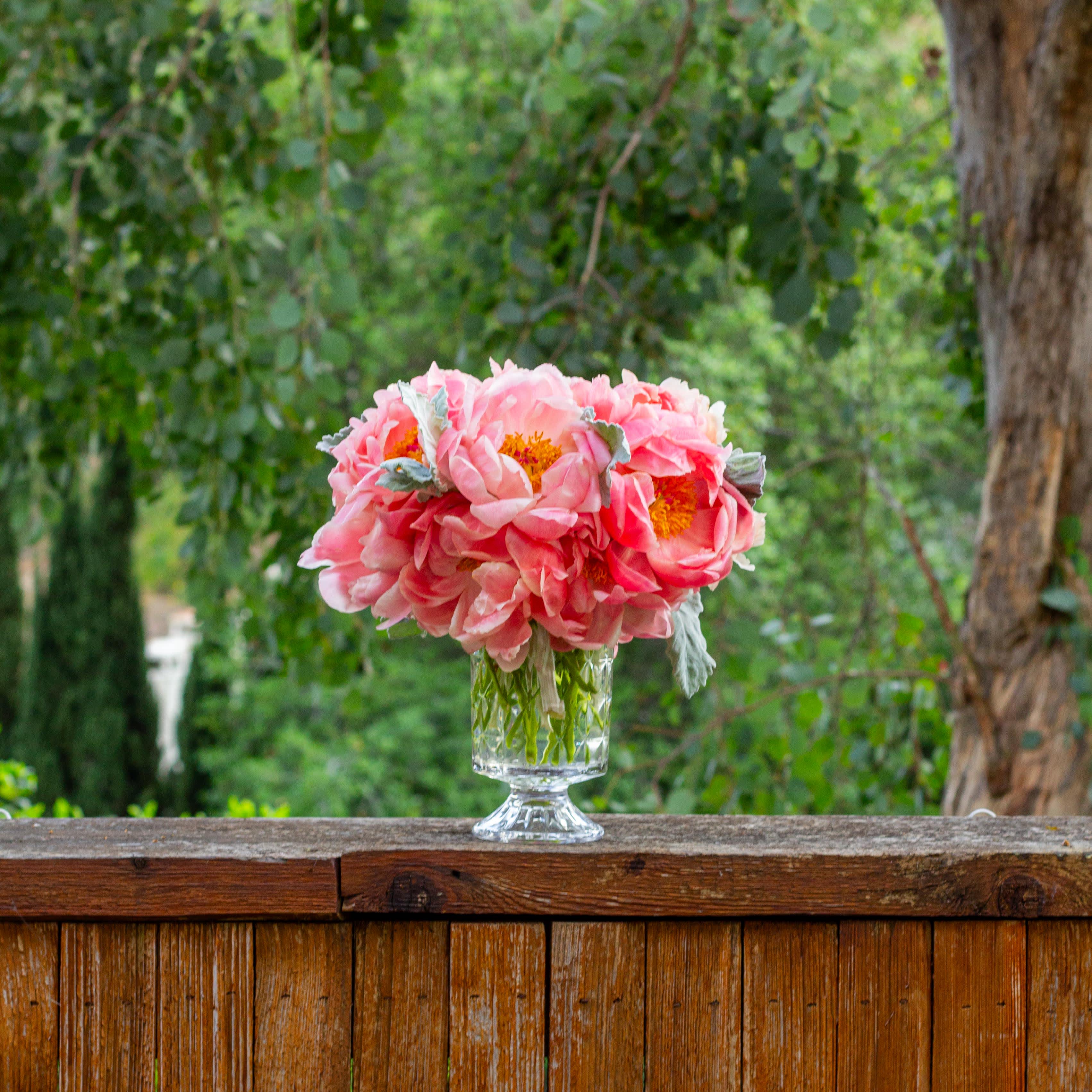 Peony Perfection - Embrace the enchanting beauty of a floral masterpiece where delicate peonies, each approximately 12 inches tall, are elegantly gathered together in a stunning cluster. This arrangement exudes grace and sophistication, capturing the essence of timeless elegance and natural charm. Each peony, with its lush petals and captivating beauty, intertwines seamlessly to create a captivating display that is sure to mesmerize and delight.