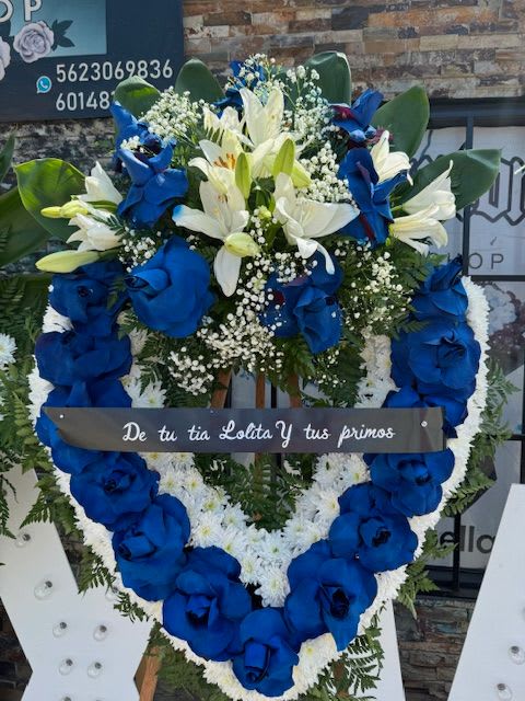 HEART BLUE - HERMOSO CORAZON BLANCO CON AZUL