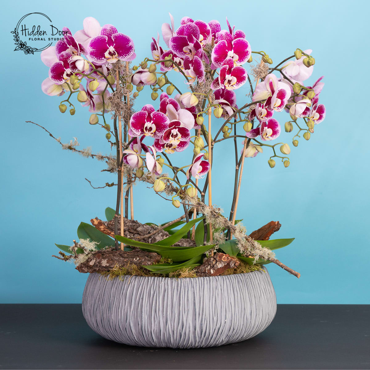 Orchid Forest- Will Come in a different container - Introducing the Orchid Forest arrangement, an awe-inspiring masterpiece that invites the breathtaking beauty of nature to grace your home or office.   This remarkable and spacious floral creation showcases a harmonious blend of fresh orchids, natural bark, lush moss, and delicate branches, intertwining to form a truly extraordinary and captivating display. While the original container may no longer be available, rest assured that we will substitute it with an equally exquisite vessel of equal or superior quality. Immerse yourself in the enchantment of the Orchid Forest as nine magnificent orchids take center stage, each varying in size and radiating their unique elegance. This expansive arrangement is designed to make a striking statement, whether it graces a living room, hotel, business, or lobby or serves as a personal floral masterpiece adorning your own living space.  To ensure your utmost satisfaction, we offer same-day delivery for your convenience. However, for the optimal experience, we recommend placing your order a few days in advance. Ordering your floral art in advance allows us to meticulously craft your Orchid Forest with the utmost care and attention to detail, ensuring it meets the highest standards of beauty and craftsmanship.    