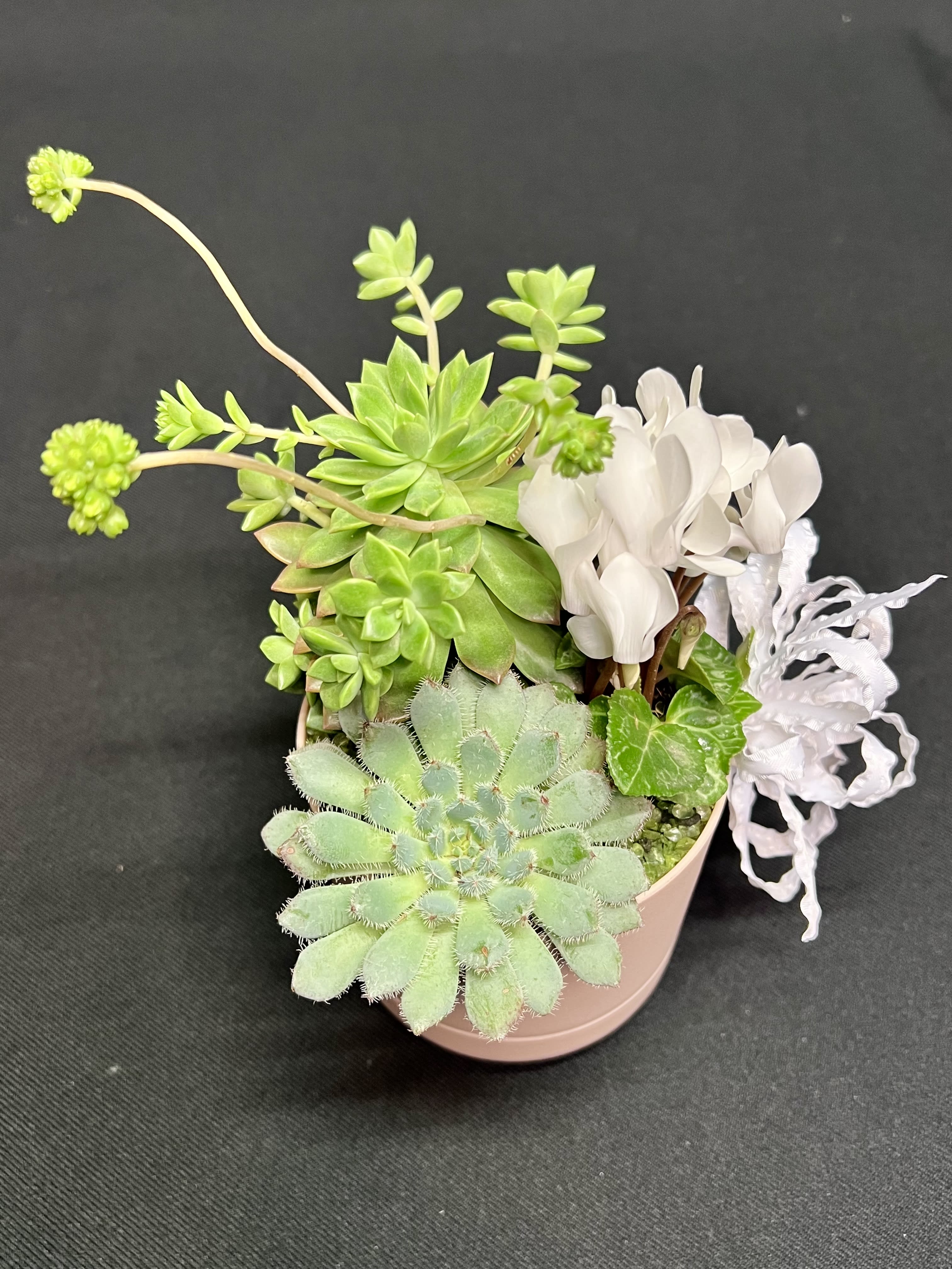 Mini succulent garden 2 Mini succulent garden 2 - Miniature easy care plants in a very small 3" pot. Perfect size for a cubicle, windowsill, nightstand or kitchen counter. Colors, plants and pot color will vary.