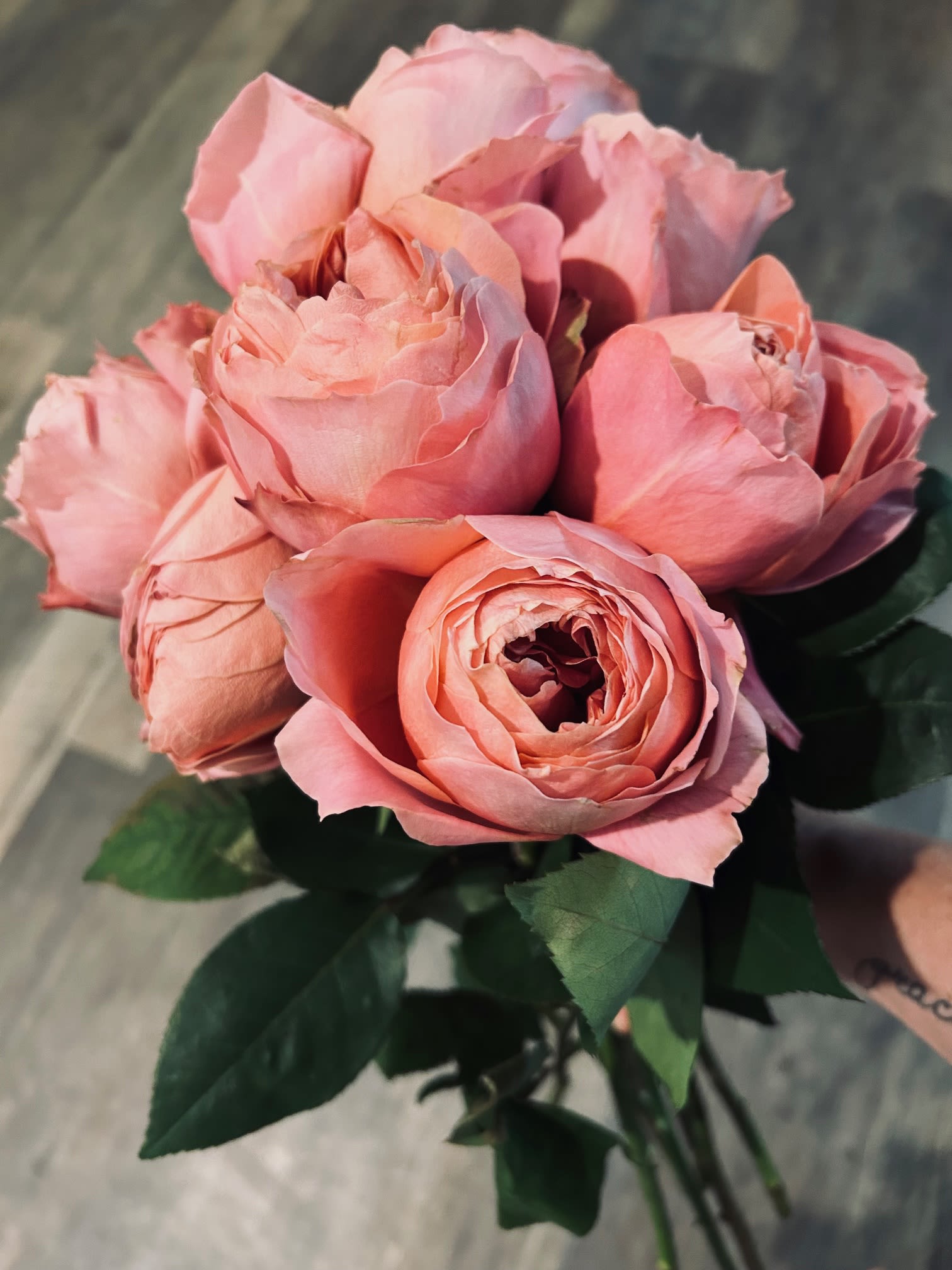 1 Dozen fresh cut Garden Roses 1 Dozen fresh cut Garden Roses - 12 fresh cut garden roses of your color delicately arranged and tied with ribbon upon delivery.