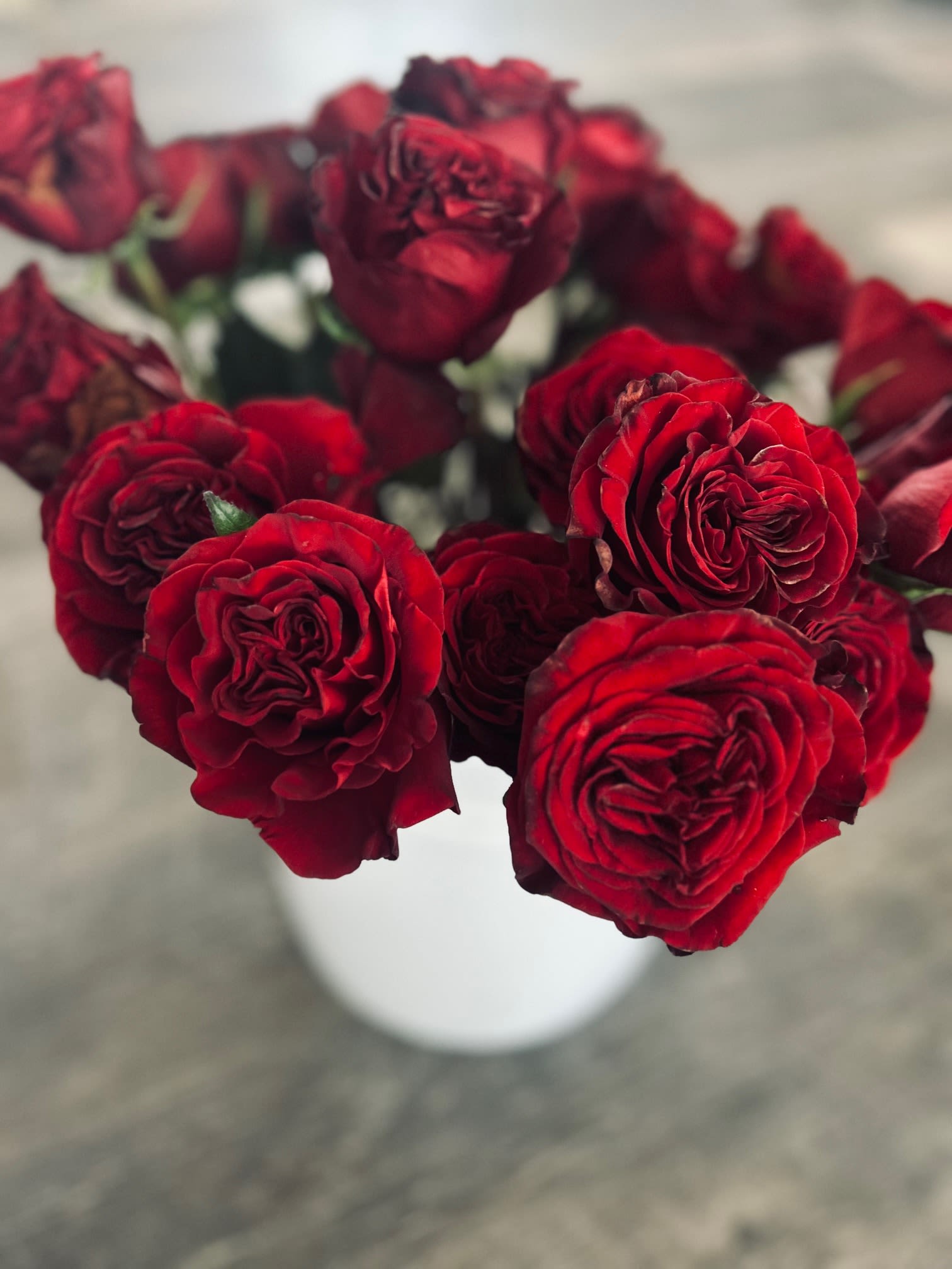 1 Dozen You Pick Fresh Cut Roses - 12 fresh cut roses of your color choice delicately prepared for your display. No base or vase included. 