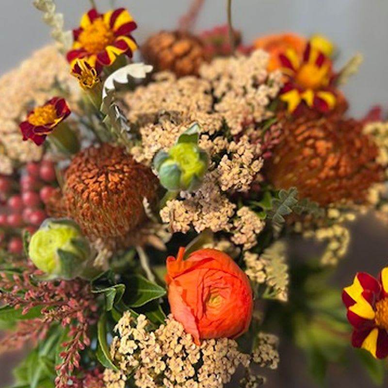 Protea - Protea with wilderness