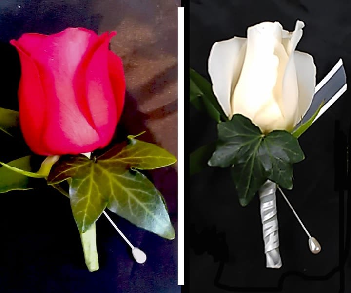 Rose Boutonniere - A classic rose boutonniere for either a man or a woman. Choose either plain or ribbon wrapped. Specify color of rose and ribbon (if applicable) in comments section on this order form.  All prices in USD ($)