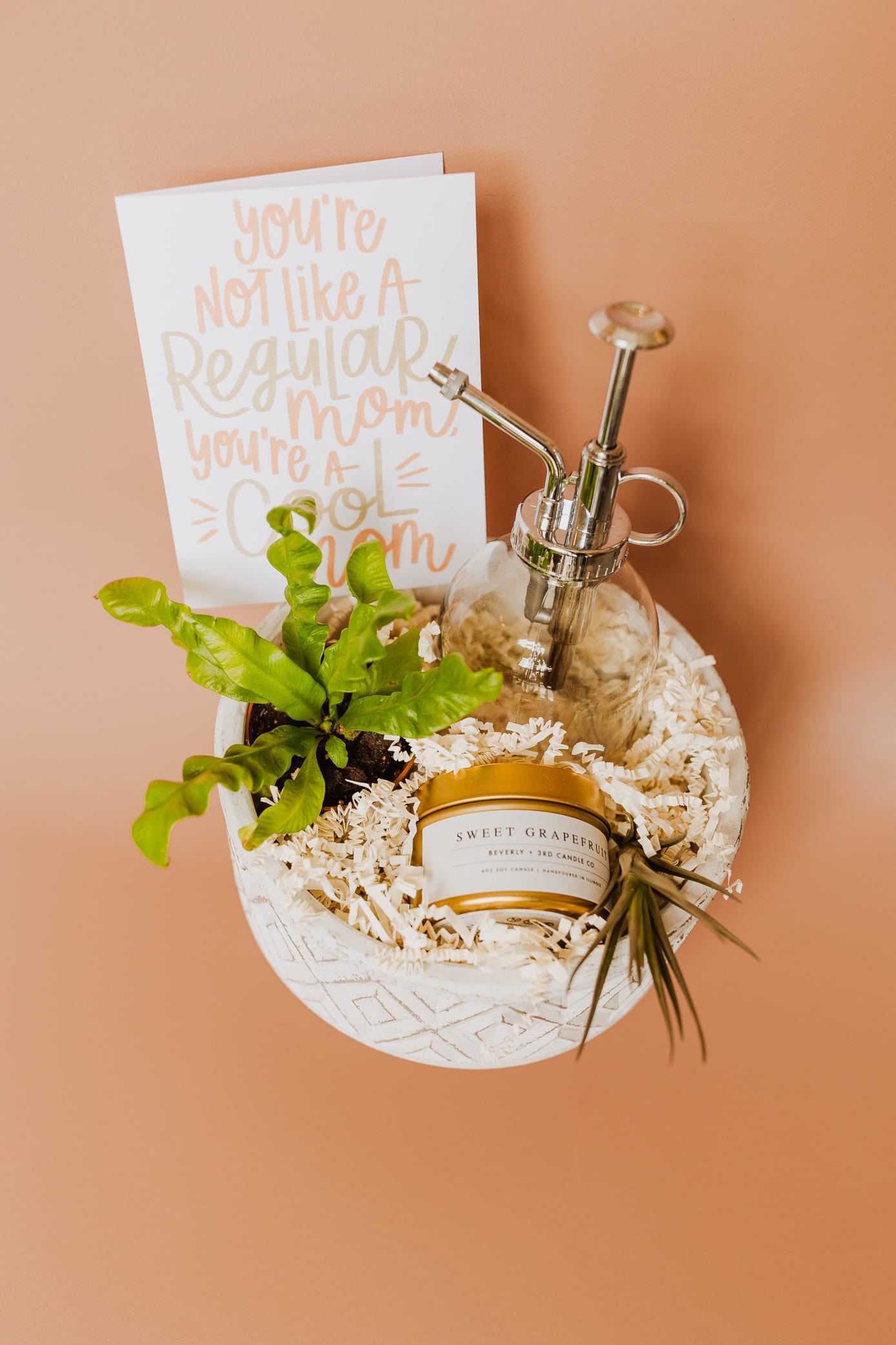 Plant Lovers Gift Box - A gift box for a plant loving lady! Includes a small house plant, water can, candle and a greeting card.  Depending on size your gift box will come in a box filled with crinkle paper and tied in a bow or in a beautiful ceramic pot for a new plant to find their home. 