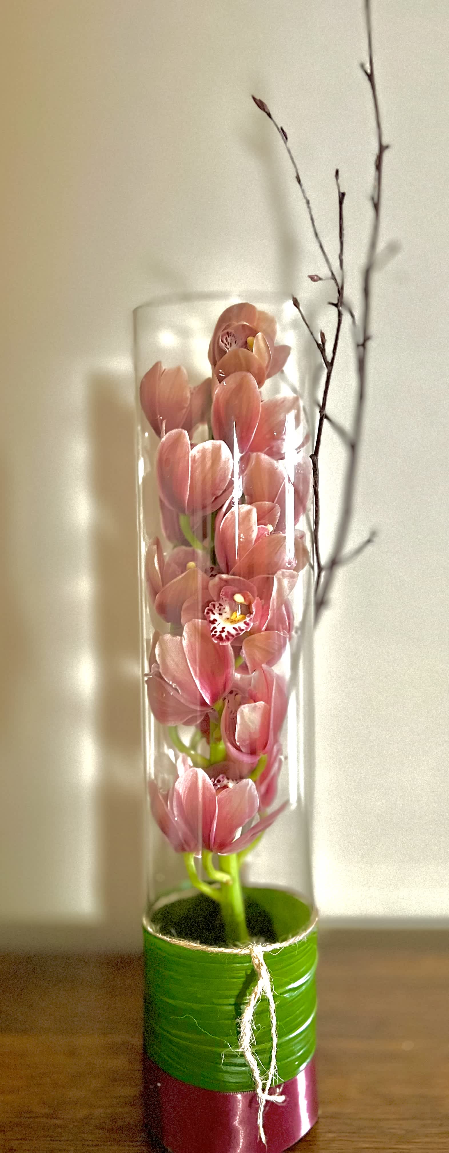 My affection under glass My affection under glass - A fragrant orchid with many blooms is featured under glass