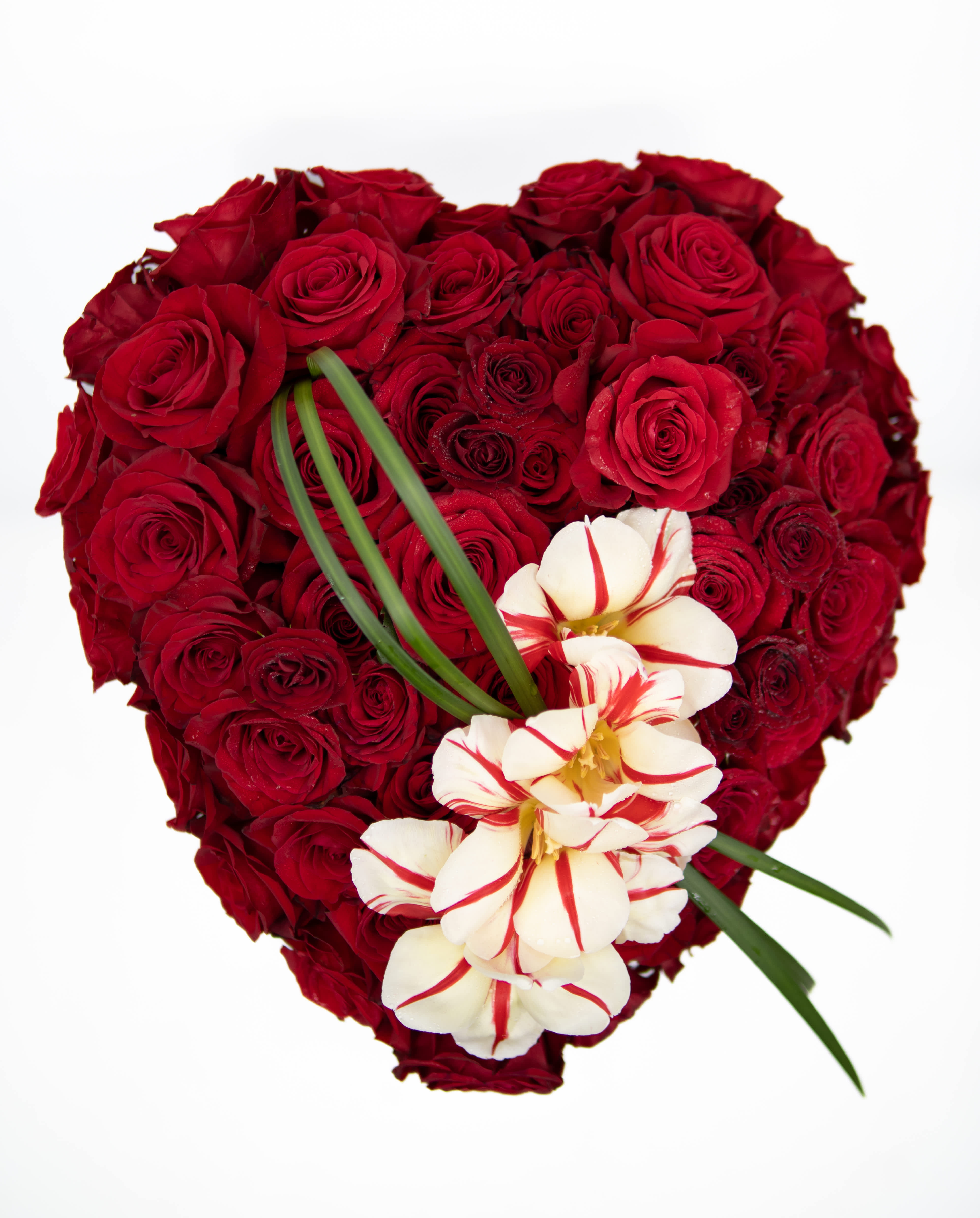 Hearts On Fire - &quot;Introducing our enchanting 'Heart's On Fire' floral masterpiece – a symbol of love and beauty crafted from dozens of exquisite roses meticulously arranged in the shape of a heart, adorned with delicate pure white orchids accenting the front. Radiating elegance and romance, 'Heart's On Fire' is the perfect expression of affection for your special someone. Whether it's an anniversary, Valentine's Day, or simply to convey your deepest emotions, let 'Heart's On Fire' speak volumes without saying a word. 