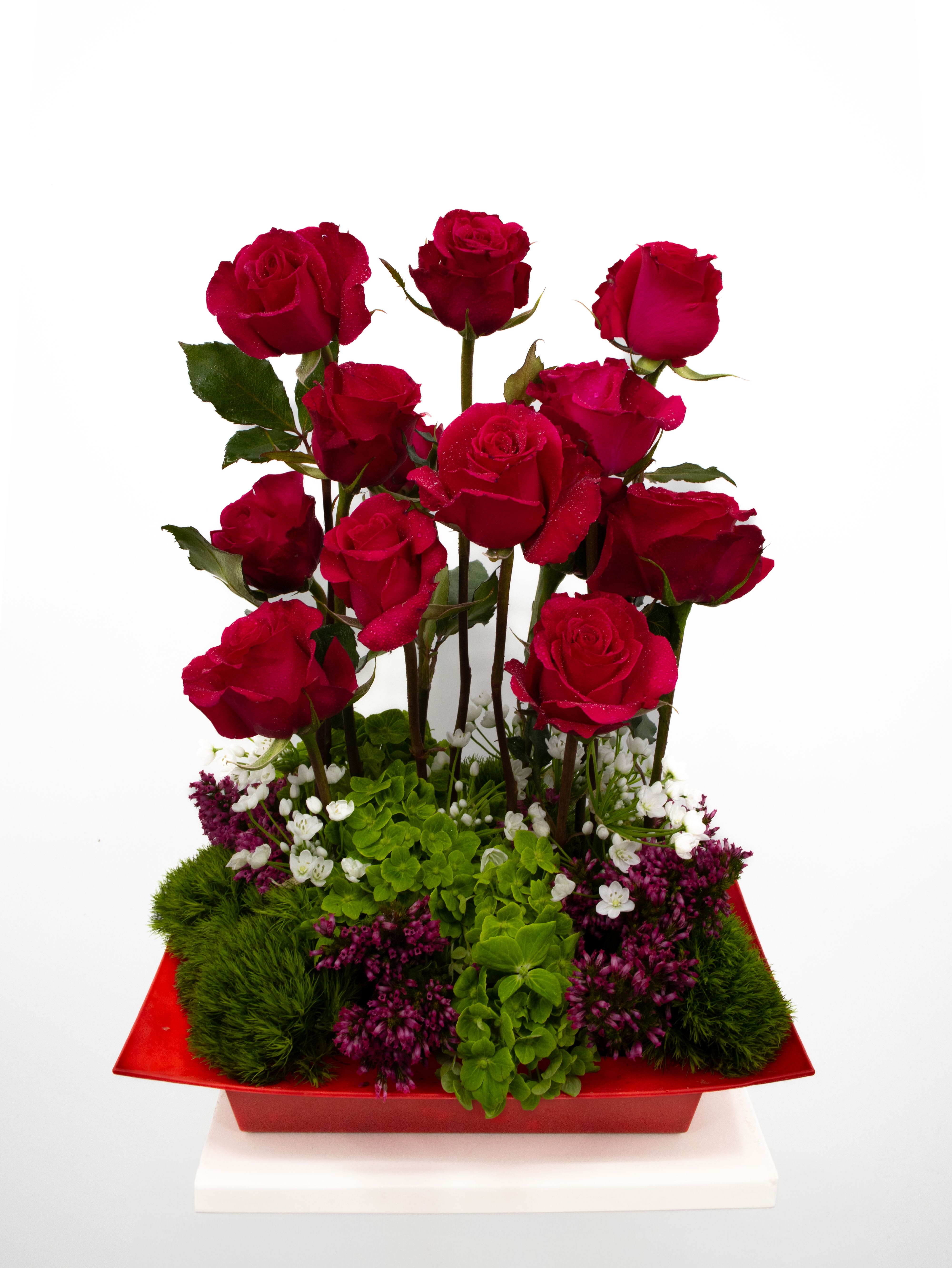 Valeria - A vibrant floral arrangement featuring tall, elegant red roses as the focal point. The roses are surrounded by lush green foliage, small white blossoms, and clusters of purple flowers, all set in a red rectangular container for a bold and striking presentation.