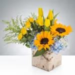 Cutie Pie by BloomNation™ - Send this to the cutie in your life! Great for a new baby, a birthday, or just cheering somebody up! This summertime arrangement with sunflowers, tulips, and yellow roses lights up any space.  Approximate Dimensions: 15&quot;D x 13&quot;H
