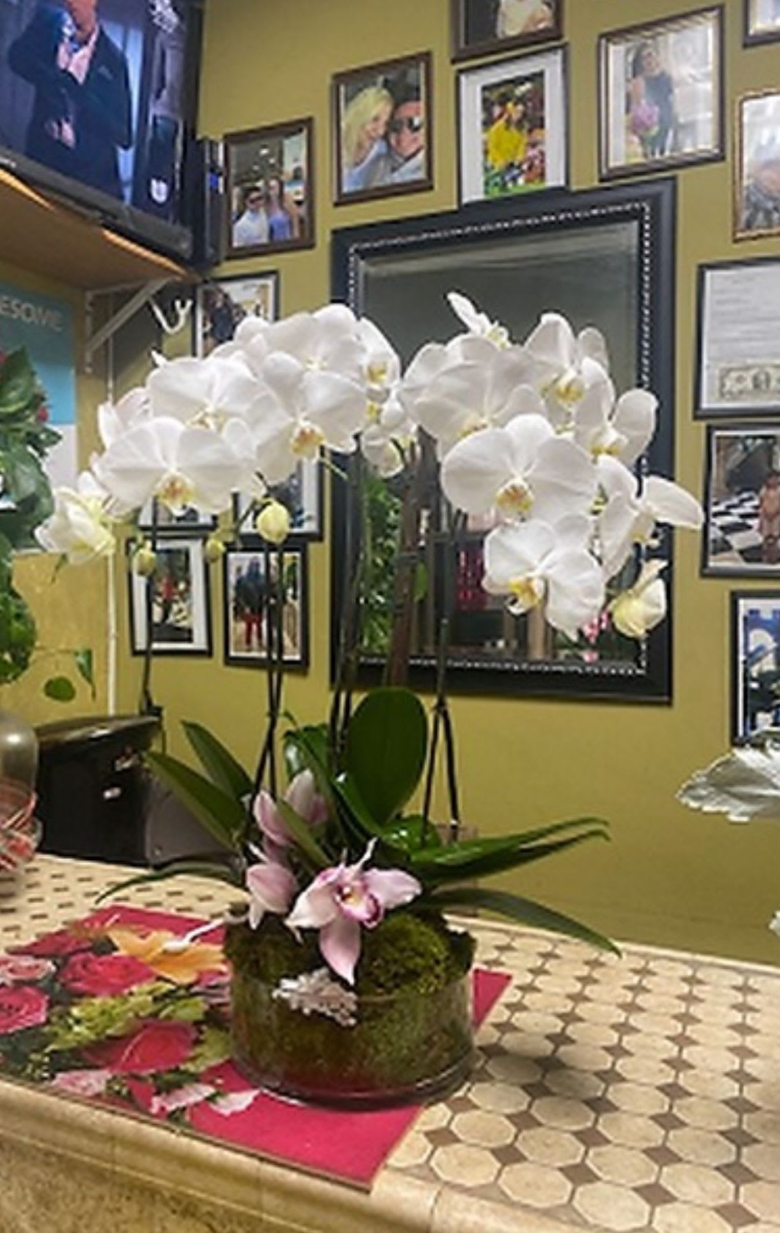 Stylish Orchid  - Beautiful stems of white orchids  A ranch and a glass container with sheet moss fresh Cymbidium Orchids and rocks